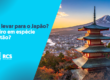 foto mostra imagem aerea do japao